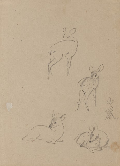 藏品:(1)小鹿；(2)成鹿的(1)張圖片