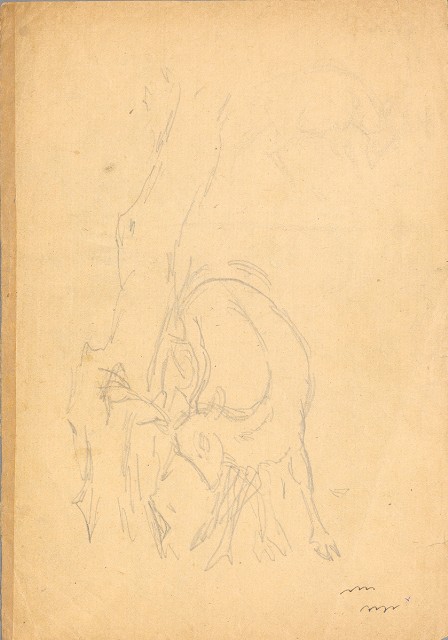 藏品:(1)鹿各種姿態；(2)鹿草稿的(2)張圖片