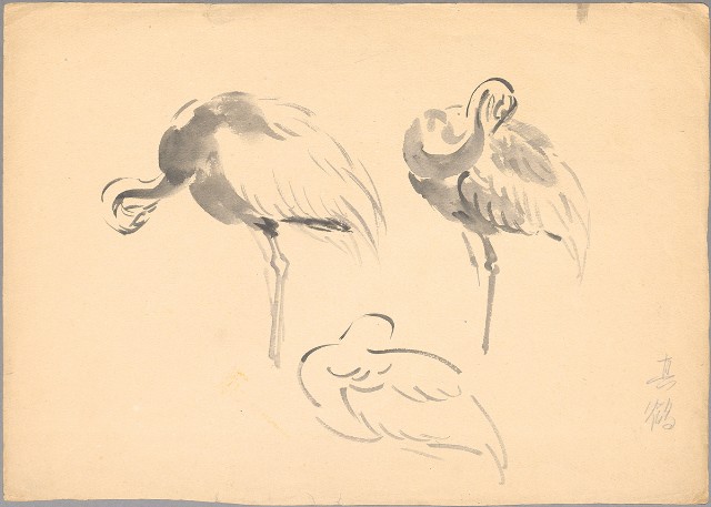 藏品:(1)鹿群；(2)真鶴的(3)張圖片