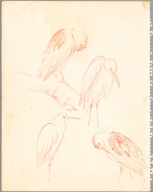 藏品:(1)松鼠；(2)鷺鷥的(2)張圖片