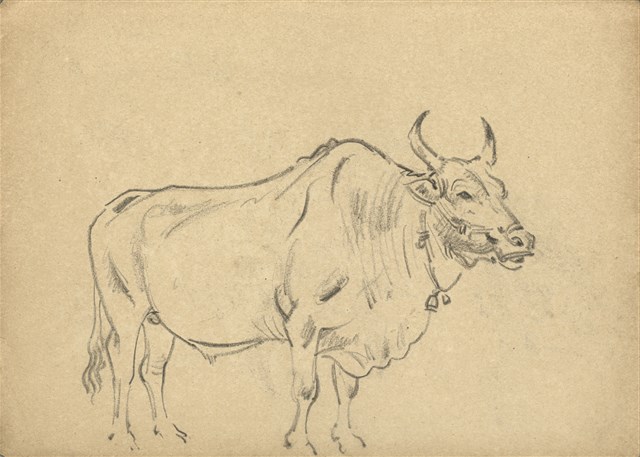 藏品:(1)赤牛；(2)聖誕紅的(1)張圖片