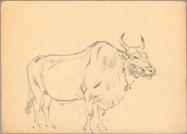 藏品:(1)赤牛；(2)聖誕紅的(2)張圖片