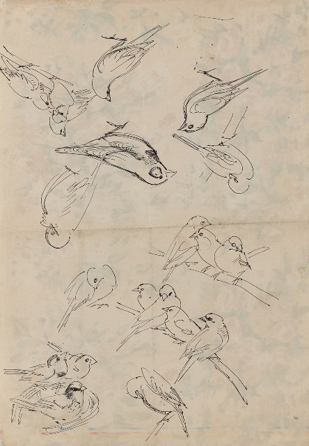 藏品:文鳥（百態）的(1)張圖片