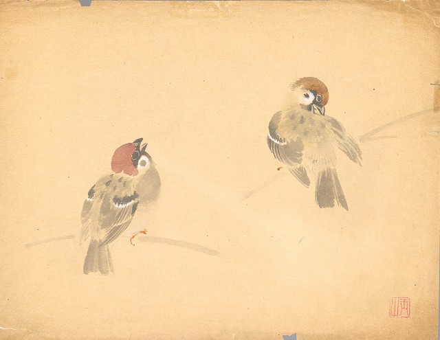 藏品:麻雀（二隻）（彩）的(1)張圖片