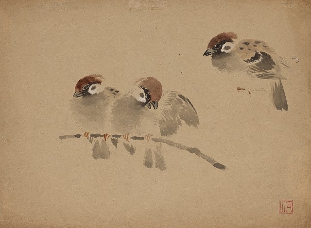 藏品:麻雀（三隻） （彩）的(1)張圖片