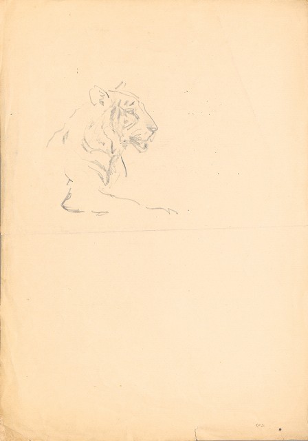 藏品:(1)金雞（錦雞）；(2)虎 （坐姿上半）的(3)張圖片