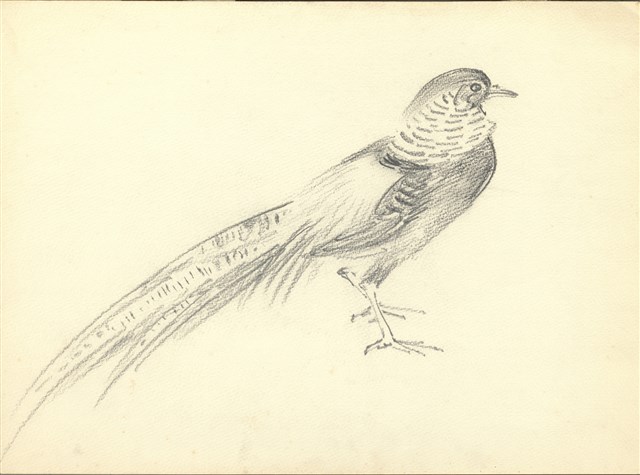 藏品:(1)錦雉；(2)婦人彈古箏的(1)張圖片