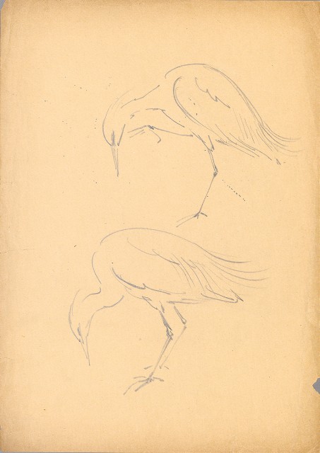 藏品:白鷺 （二姿態）的(1)張圖片