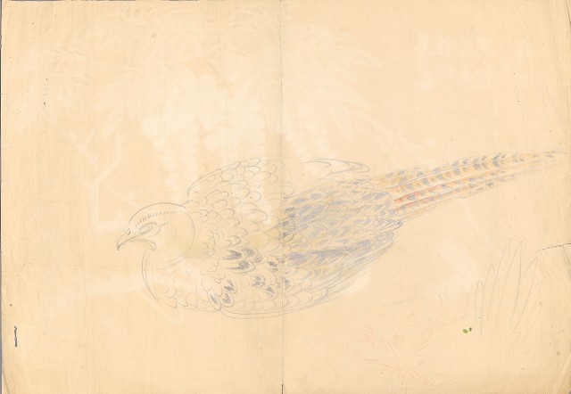 藏品:雉雌鳥的(1)張圖片