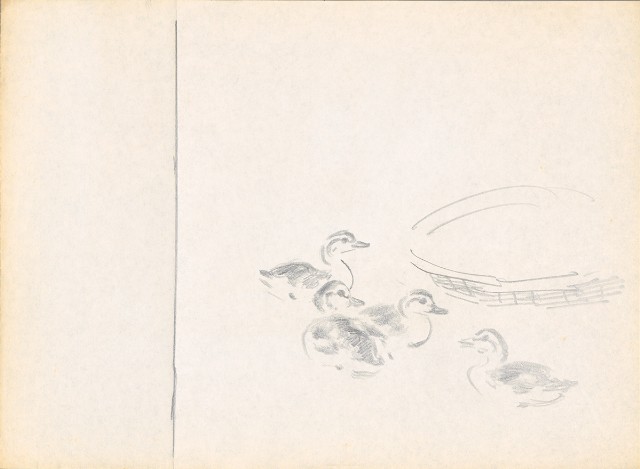 藏品:鴨（四隻）的(1)張圖片