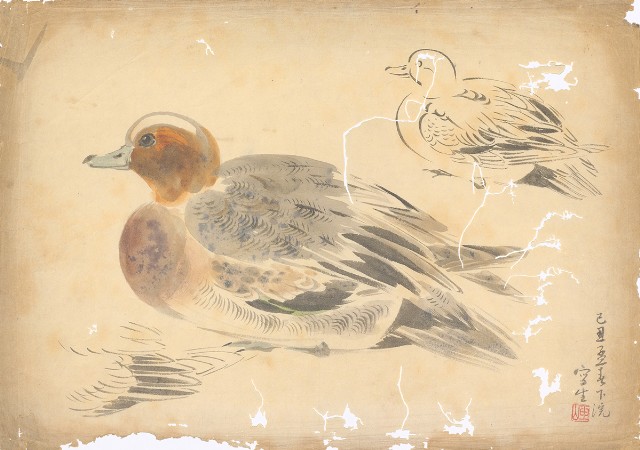 藏品:鴨（二隻）的(1)張圖片