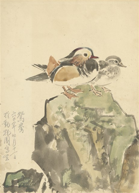 藏品:(1)鴛鴦；(2)夜鷺（怒態）的(1)張圖片