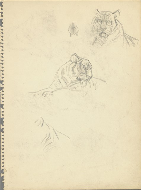 藏品:(1)虎（各姿態）；(2)鶴的(1)張圖片