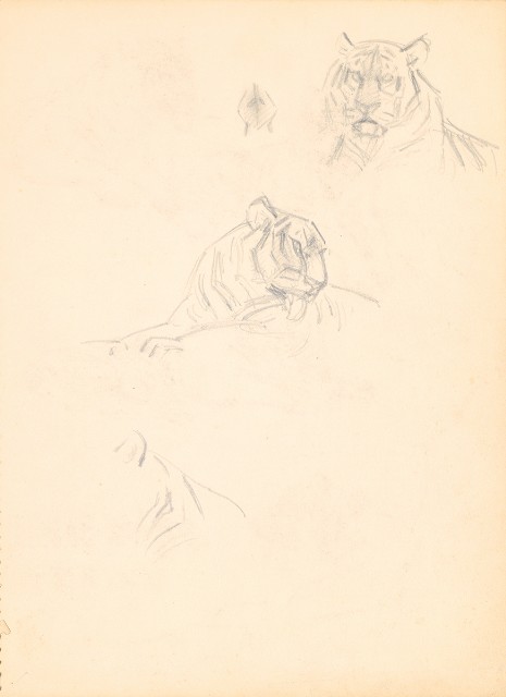 藏品:(1)虎（各姿態）；(2)鶴的(2)張圖片