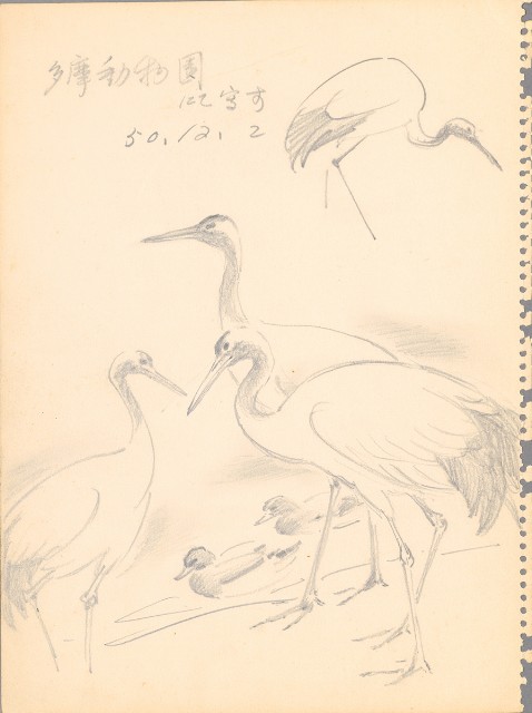 藏品:(1)虎（各姿態）；(2)鶴的(3)張圖片