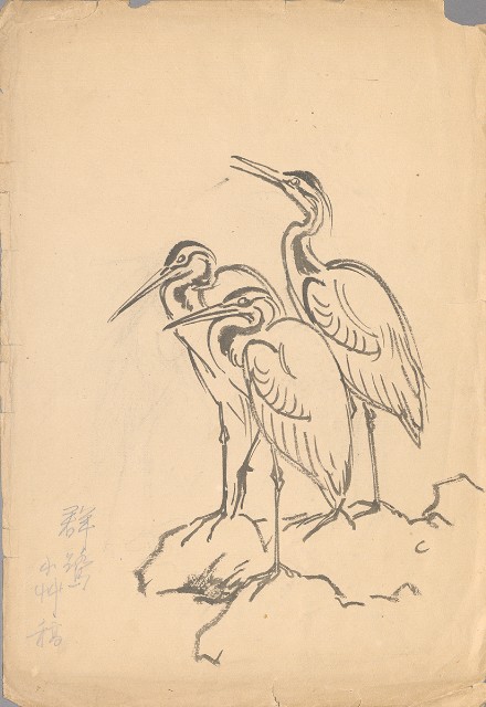 藏品:群鷺的(1)張圖片