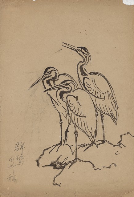 藏品:群鷺的(1)張圖片