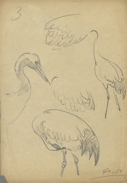 藏品:(1)鶴（各姿態）；(2)鶴（頭及翅）的(1)張圖片