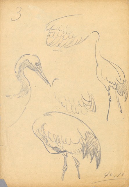 藏品:(1)鶴（各姿態）；(2)鶴（頭及翅）的(2)張圖片