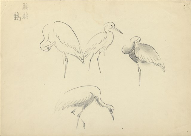 藏品:(1)鸕鷀、鵜；(2)獅的(1)張圖片