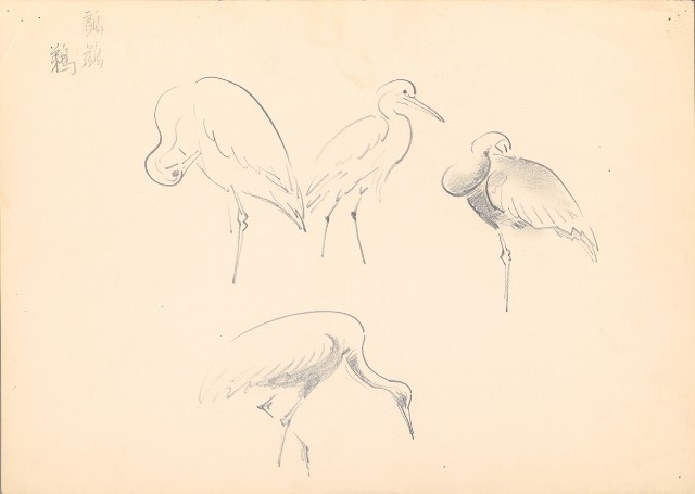 藏品:(1)鸕鷀、鵜；(2)獅的(2)張圖片