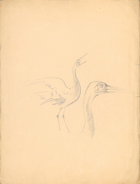 藏品:(1)真鶴， 又名蒼鶴；(2)真鶴， 又名蒼鶴的(3)張圖片