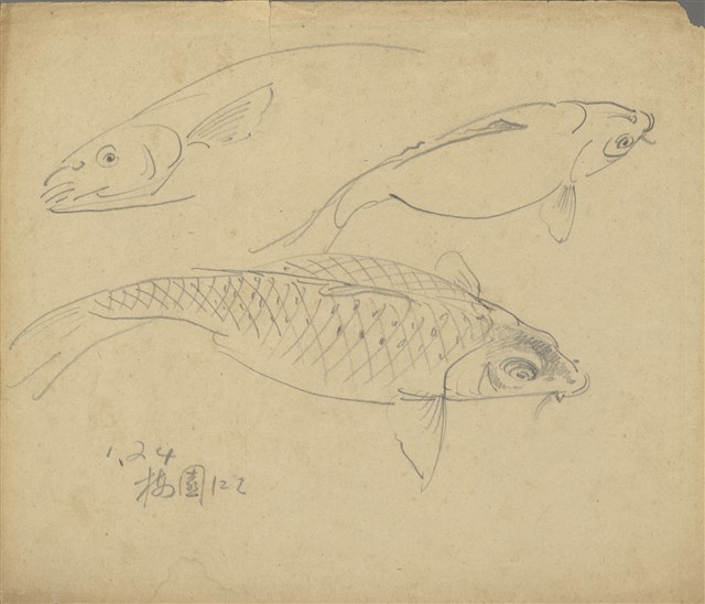 藏品:(1)魚；(2)魚的(1)張圖片