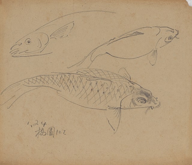 藏品:(1)魚；(2)魚的(1)張圖片