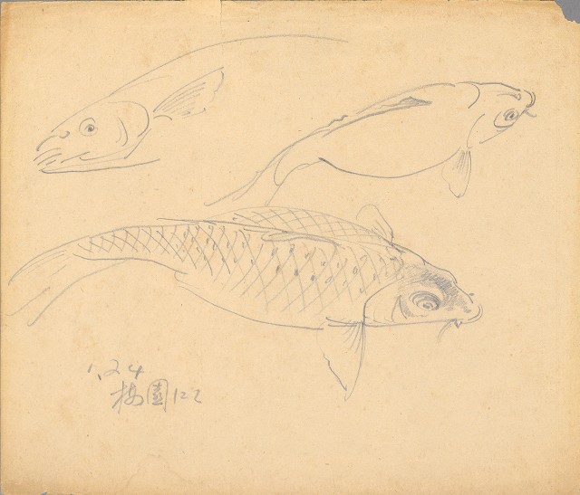 藏品:(1)魚；(2)魚的(2)張圖片