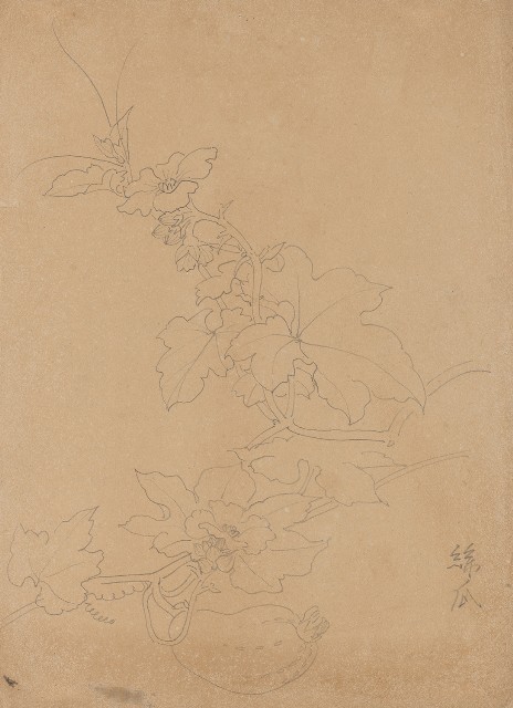 藏品:(1)玉簪花；(2)絲瓜的(2)張圖片