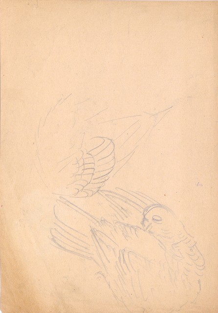 藏品:(1)茶花；(2)斑鳩的(3)張圖片