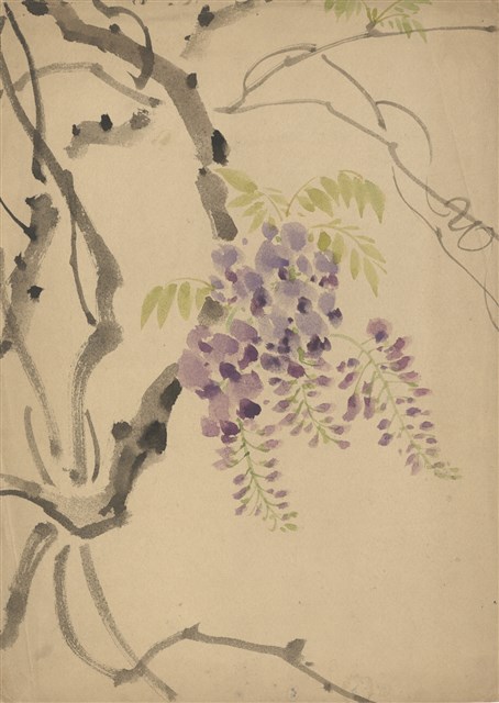 藏品:(1)紫藤花；(2)雄鴛鴦頭的(1)張圖片