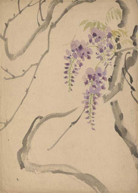 藏品:(1)紫藤花；(2)麻雀各姿態的(1)張圖片