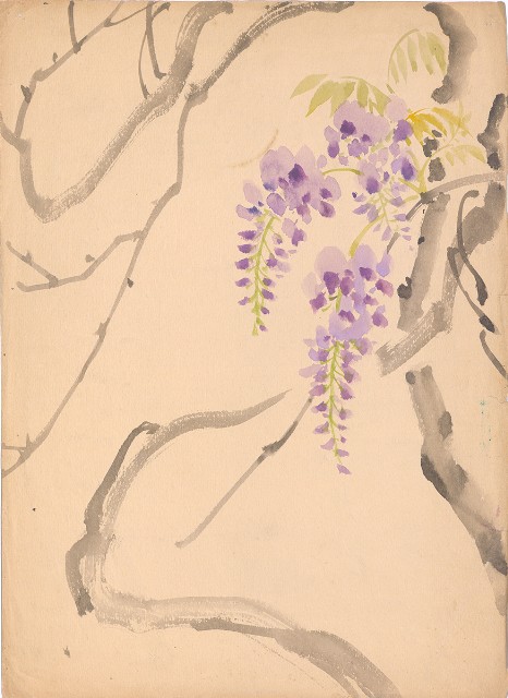 藏品:(1)紫藤花；(2)麻雀各姿態的(2)張圖片