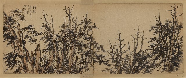 藏品:阿里山檜林的(1)張圖片