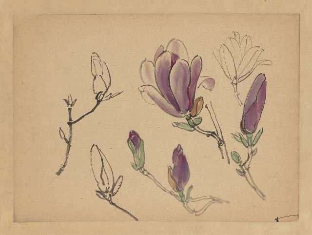藏品:花包(辛夷) 的(1)張圖片