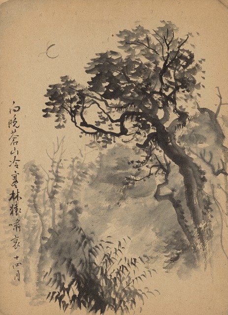 藏品:蒼山寒冷林的(1)張圖片