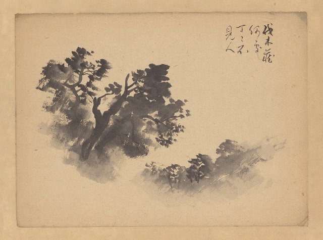 藏品:伐木藏何處的(1)張圖片