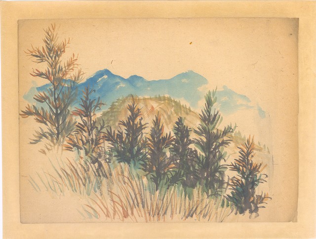 藏品:山林的(1)張圖片