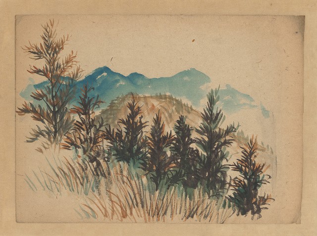 藏品:山林的(1)張圖片