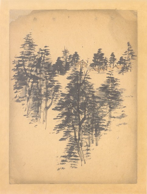 藏品:森林的(1)張圖片