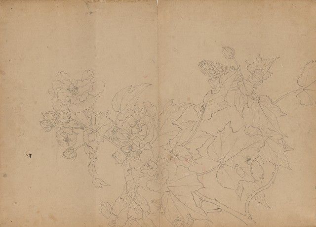 藏品:(1)芙蓉；(2)學生簽名的(1)張圖片