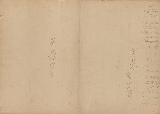 藏品:(1)芙蓉；(2)學生簽名的(2)張圖片