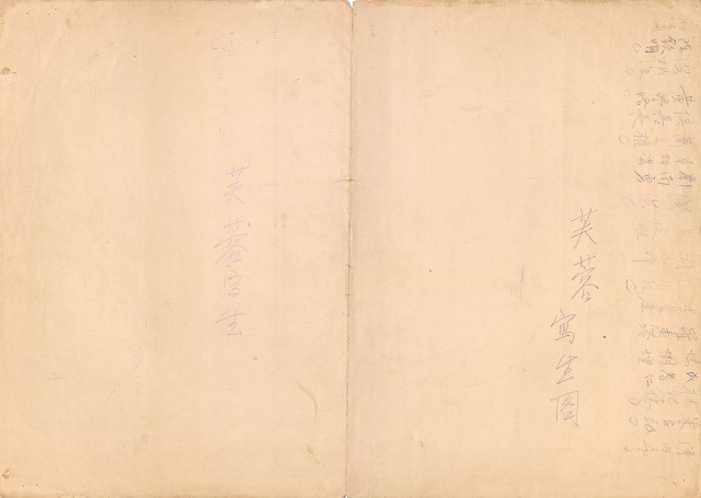 藏品:(1)芙蓉；(2)學生簽名的(3)張圖片