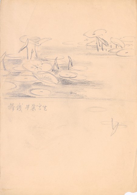 藏品:荷線的(1)張圖片