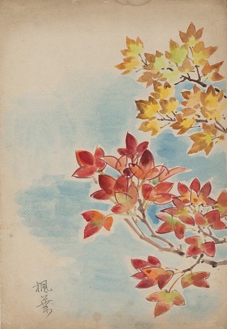 藏品:楓葉的(1)張圖片