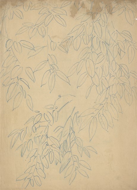 藏品:(1)樹葉；(2)鹿草圖的(1)張圖片