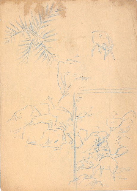 藏品:(1)樹葉；(2)鹿草圖的(3)張圖片