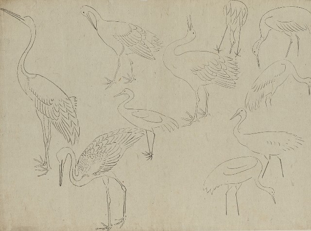 藏品:川端習畫臨稿 (鶴)的(1)張圖片