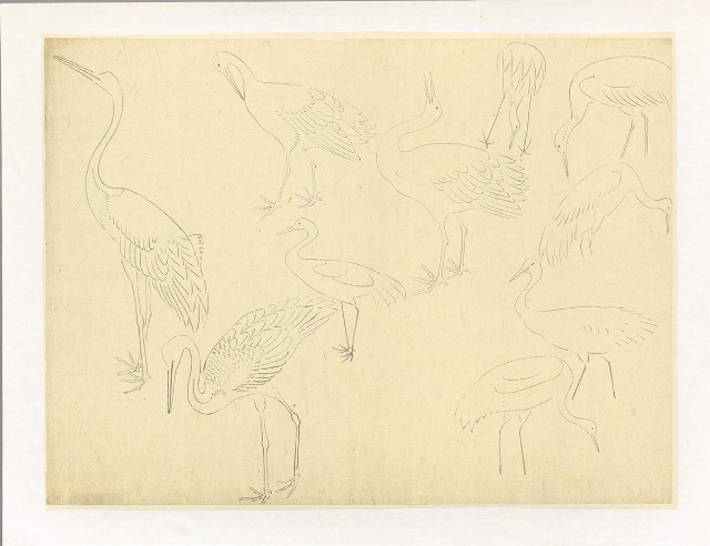 藏品:川端習畫臨稿 (鶴)的(1)張圖片